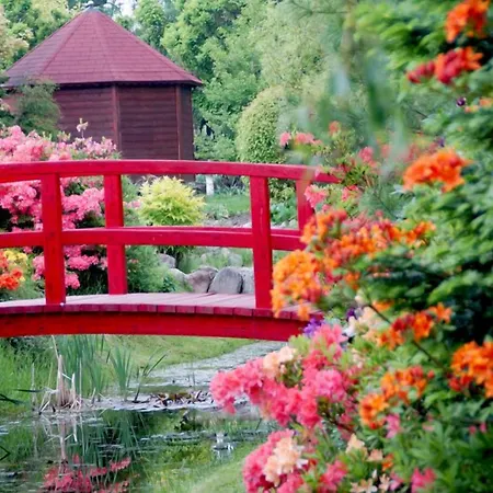 Feriested Max Health